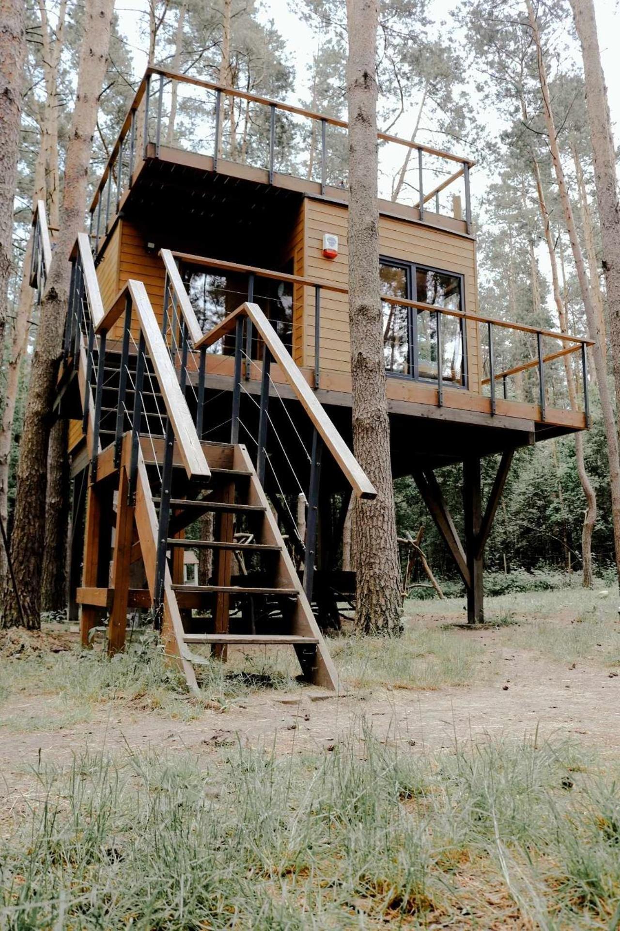 Na Drzewie Radziejowice Blisko Suntago Holiday home